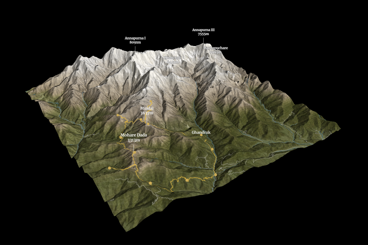Step 11: Place labels with elevation and icons